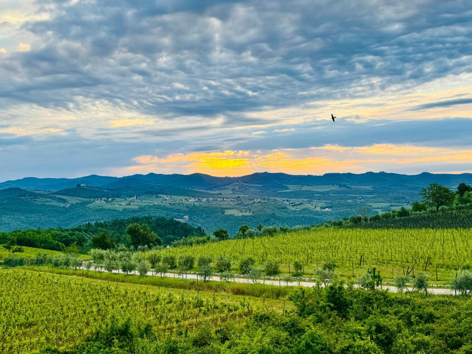 Libertas Tuscan Hideaway San Sano Exteriér fotografie